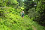 2014-07-05_Laengental-N-Hochweg (686). JPG